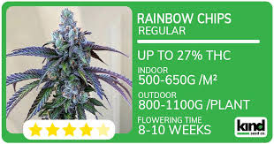 Ultimate Guide to Cannabis Seeds Ohio Everything You Need to Know Ultimate Guide to Cannabis Seeds Ohio Everything You Need to Know